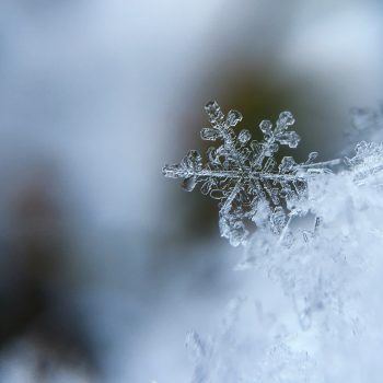 snowflake-1245748_1280